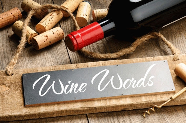 wine-words