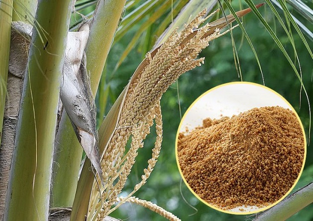 coconut palm sugar 1