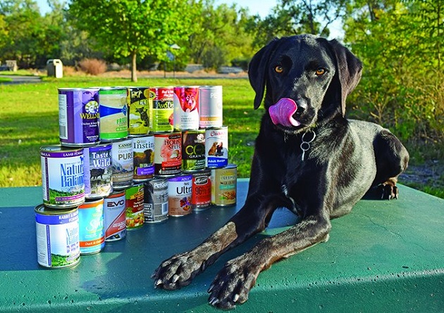 canned dog foods