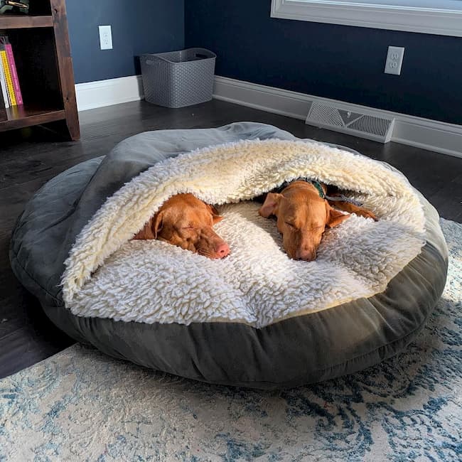 The Importance of Choosing the Right Calming Dog Bed for