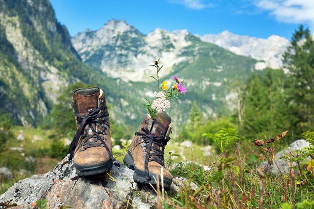 hiking boots on mountain with flowers inside