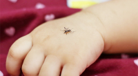 kid-hand-and-insect