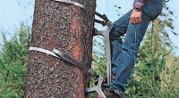tree-climbing-equipmentt