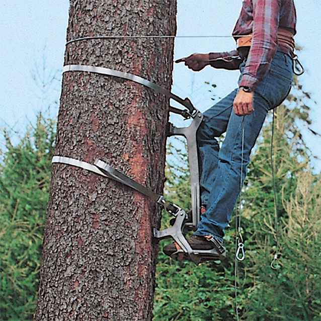 Beginner's Guide to Essential Tree Climbing Equipment