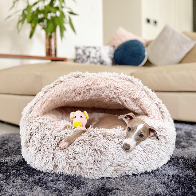 dog sleeps in a dog bed with a toy