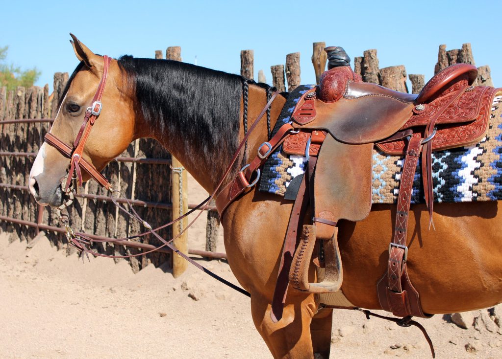 Ranch horse saddle