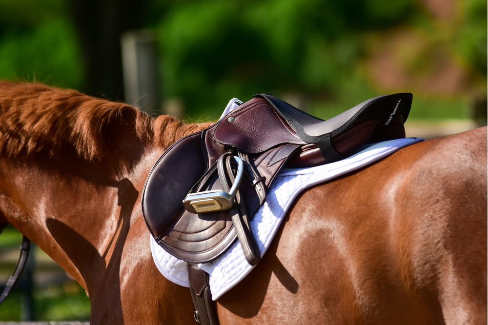 English horse saddle