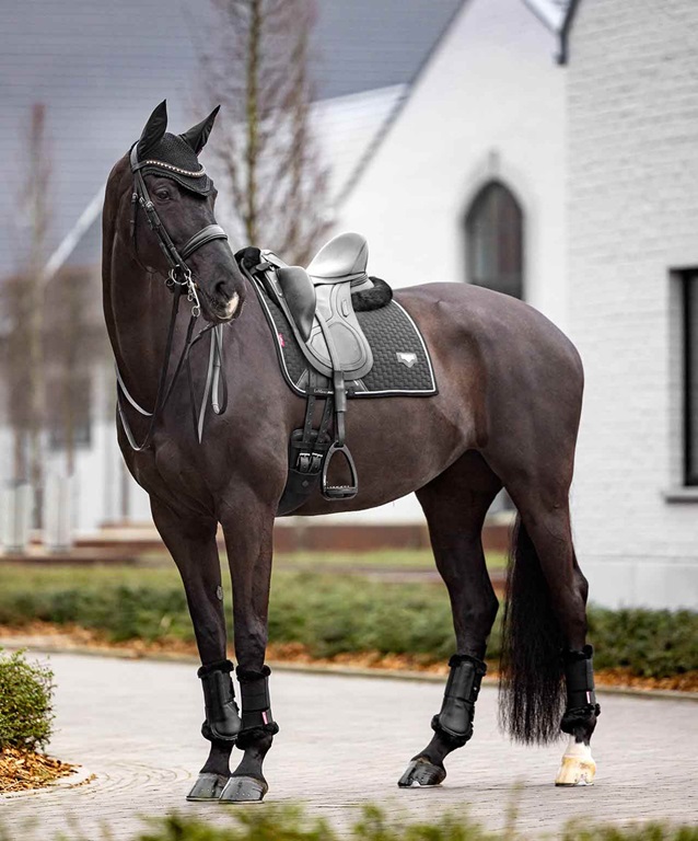 horse riding equipment