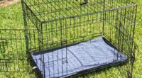 Medium Collapsible Dog Crate – 30”