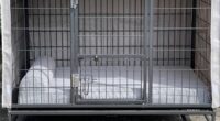 Vebo Stackable Cages