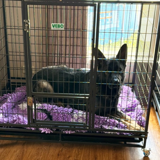 Stackable Dog Cage with wheels
