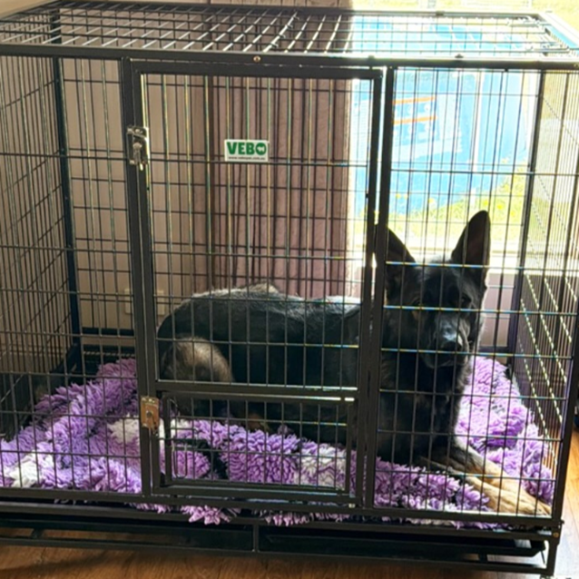 VEBO Metal Dog & Cat Pen Enclosure with Roof